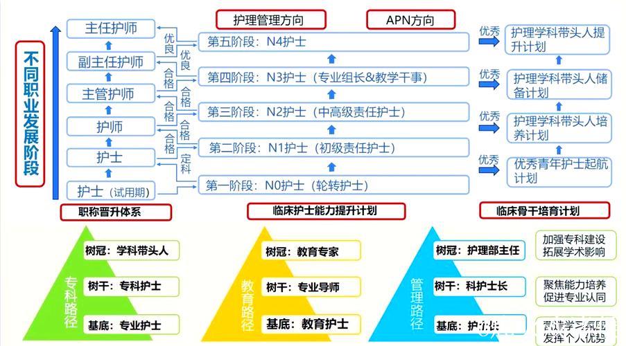 国产精品护士日本职业发展与挑战分析